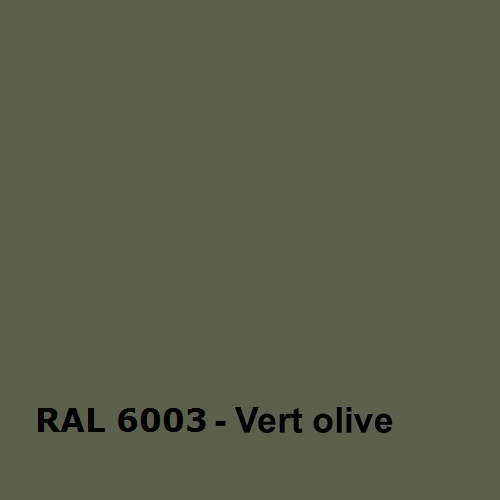 RAL 6003 - Vert Olive